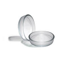 Gallant Cam Petri Kabı | Kibar Dental